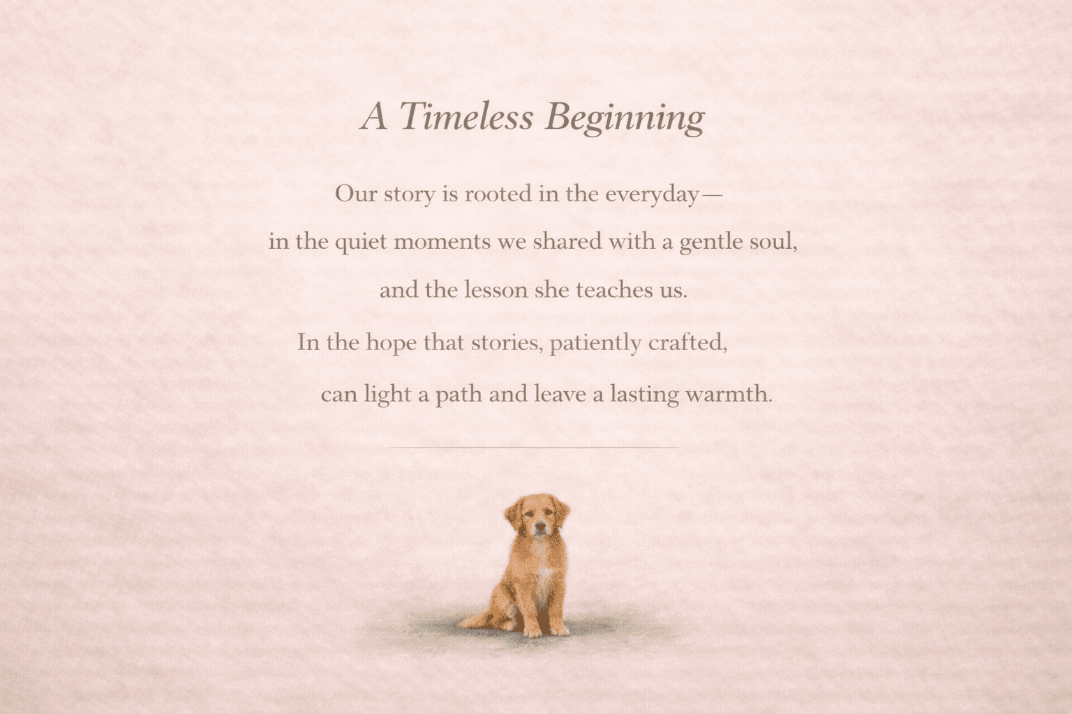 About The Vixie Collection